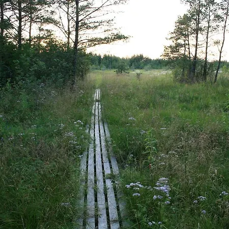 Kotkapoja Apartment *