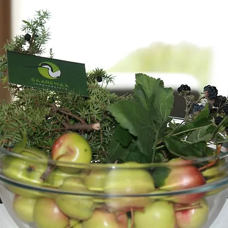 Kotkapoja * Kuressaare