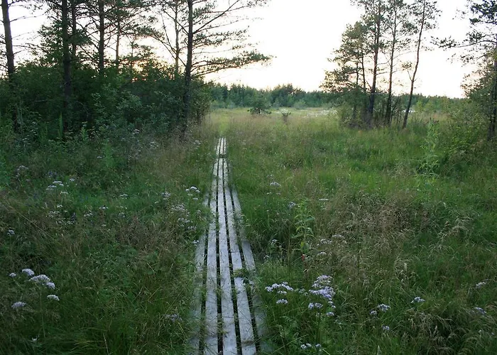 Kotkapoja Apartment *